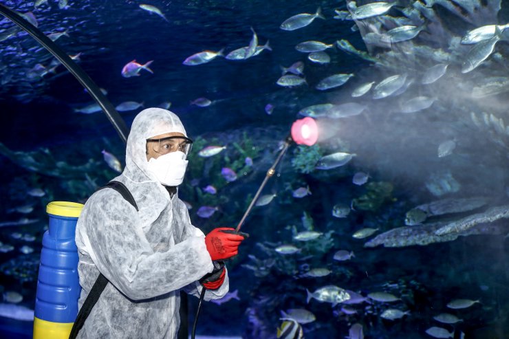 Antalya Akvaryum'da dezenfekte işlemi yapıldı