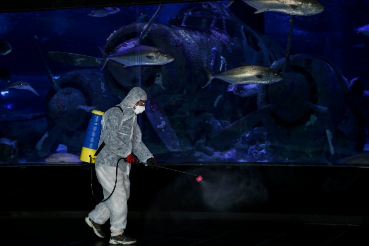 Antalya Akvaryum'da dezenfekte işlemi yapıldı