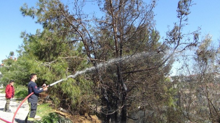 Manavgat’ta korkutan yangın