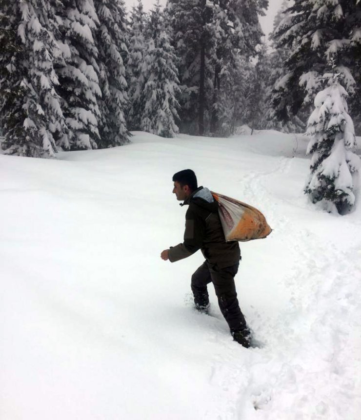 Giresun'da kar yağışının etkili olduğu bölgelere yaban hayvanları için yem bırakıldı
