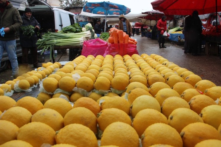 Marketlerdeki kalabalık pazara yansımadı, meyve fiyatları yarı yarıya düştü