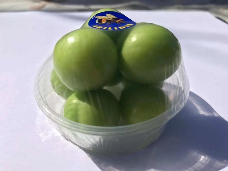 Eriğin kilosu 30 lira