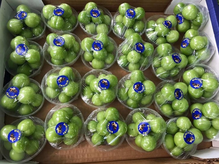 Eriğin kilosu 30 lira