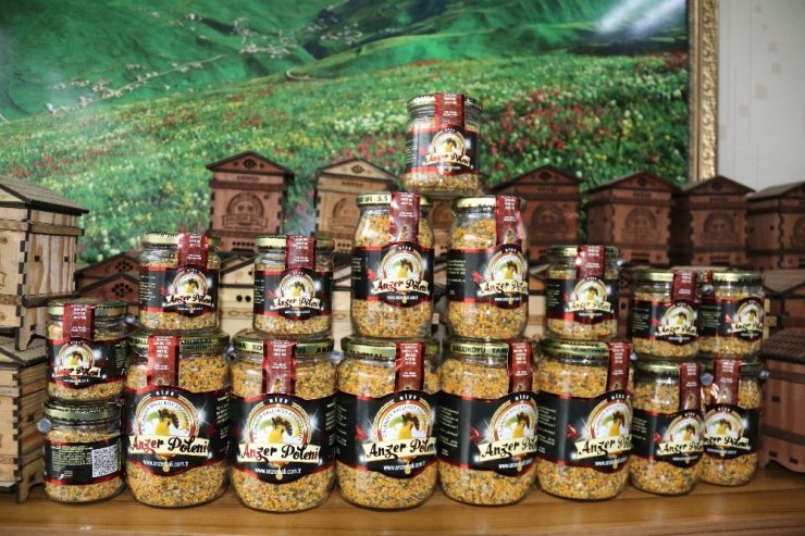 Korona virüs salgını Anzer Poleni’ne ilgiyi arttırdı