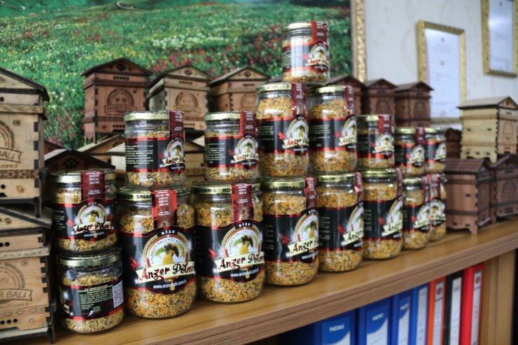 Korona virüs salgını Anzer Poleni’ne ilgiyi arttırdı