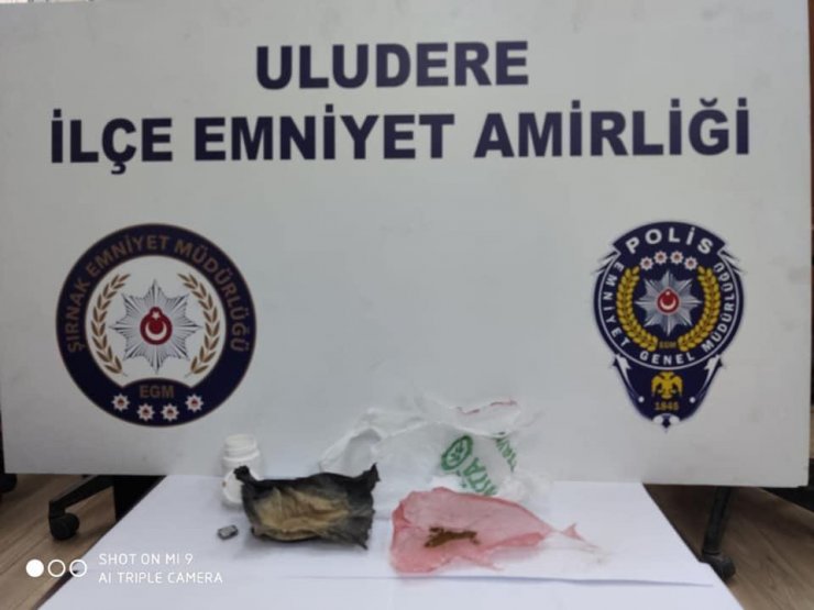 Şırnak'ta uyuşturucu operasyonunda yakalanan 2 şüpheli tutuklandı