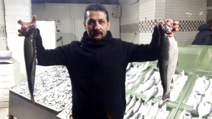 Korona virüs tedbirleri balık tezgahlarını da etkiledi