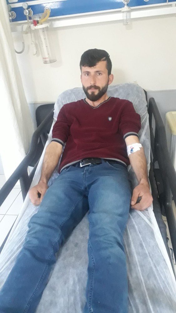 Elektrik akımına kapılan koyununu kurtarmaya çalışırken akıma kapılarak yaralandı
