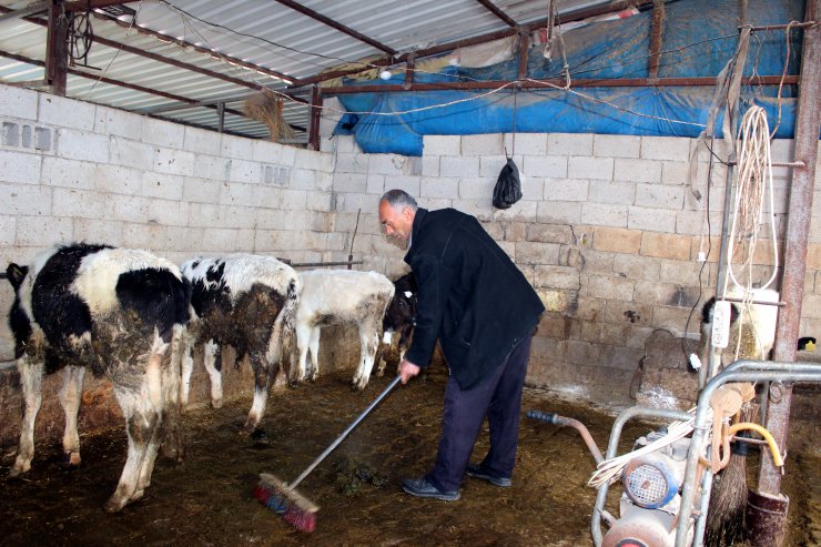 Hatay'da yıldırım düşmesi sonucu 1 kişi yaralandı