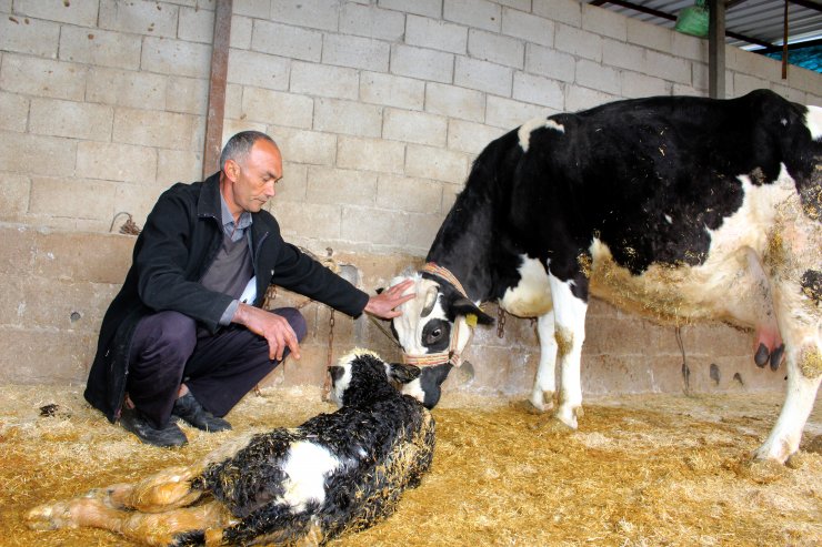 Hatay'da yıldırım düşmesi sonucu 1 kişi yaralandı