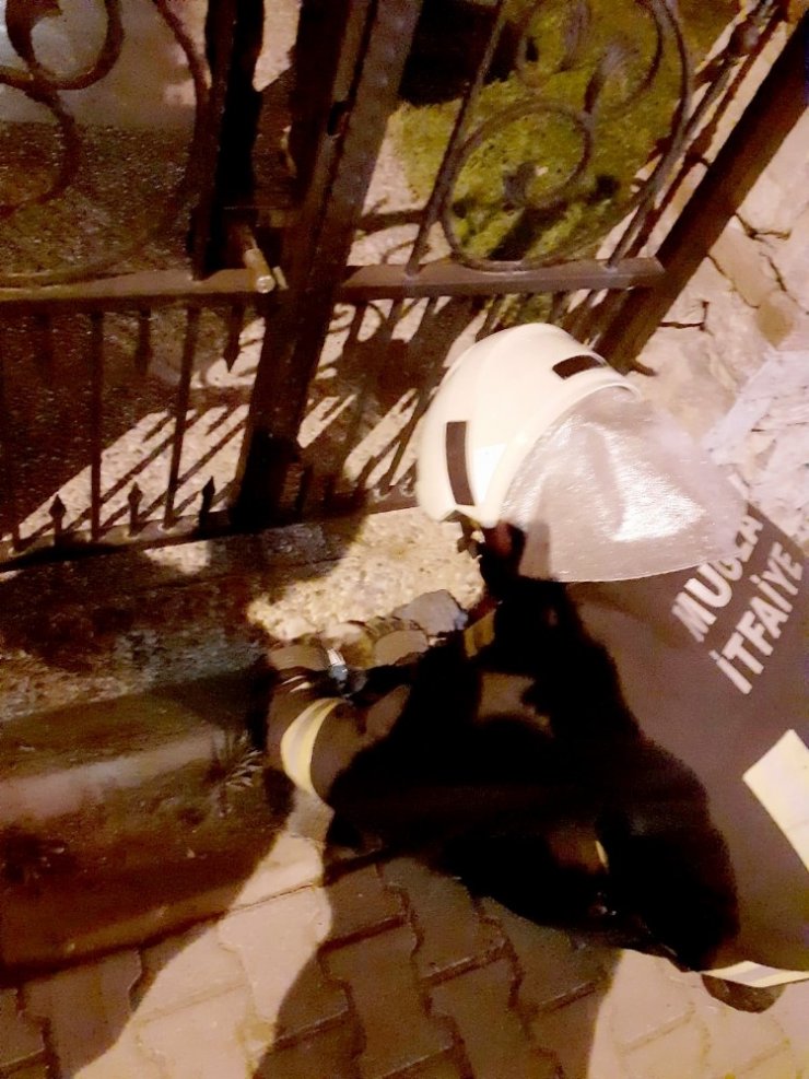 Mama kutusuna kafası sıkışan kediyi itfaiye ekipleri kurtardı