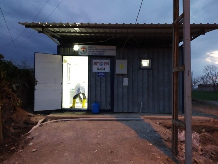 Soğutularak süt alımı çalışmaları sonuç verdi