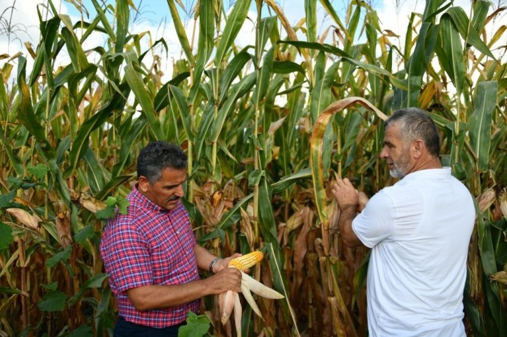 Samsun çiftçisine 86 milyon TL destek