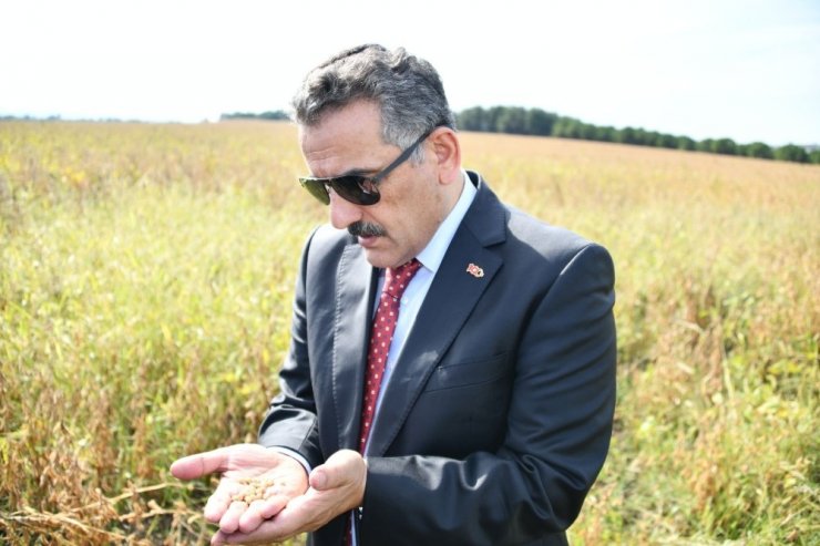 Samsun çiftçisine 86 milyon TL destek