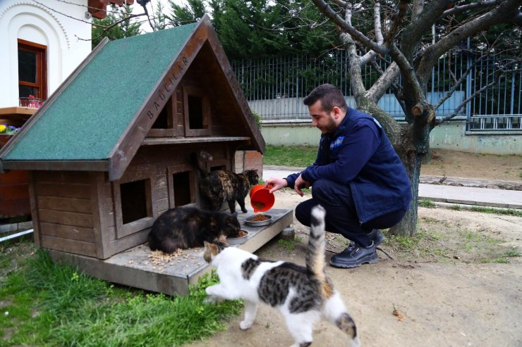 Bağcılar Belediyesi Kovid-19 salgınında sokak hayvanlarını yalnız bırakmadı