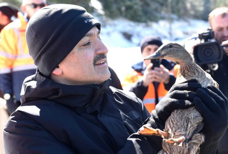 Bakan Pakdemirli ayı yavrusunu biberonla besledi: