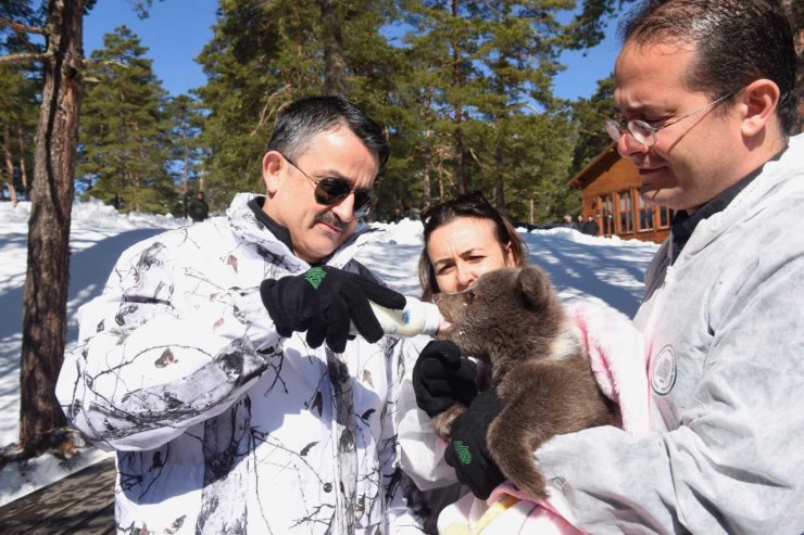 Bakan Pakdemirli ayı yavrusunu biberonla besledi: