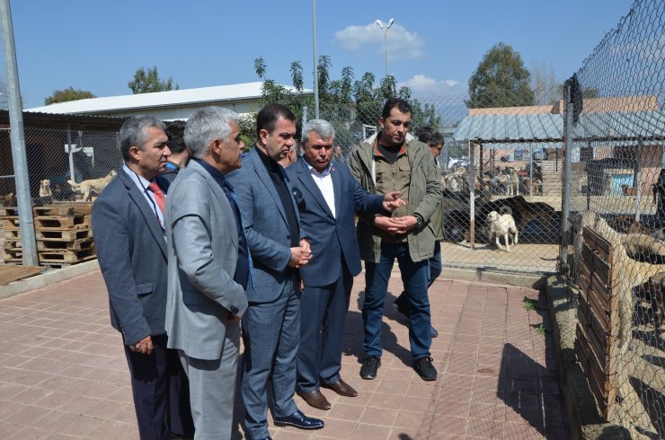 Adana'da Kozan Belediyesinden hayvan barınağı açıklaması