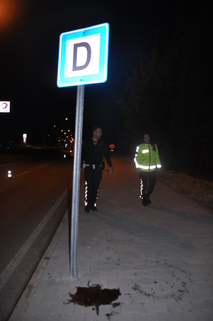 Aydın'da devrilen motosikletin sürücüsü öldü