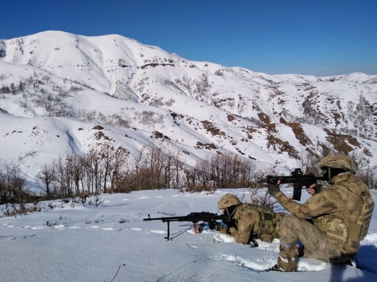 Bingöl’de “Kapan-9 Karer Operasyonu" başlatıldı