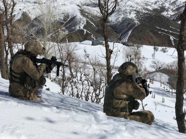 Bingöl’de “Kapan-9 Karer Operasyonu" başlatıldı
