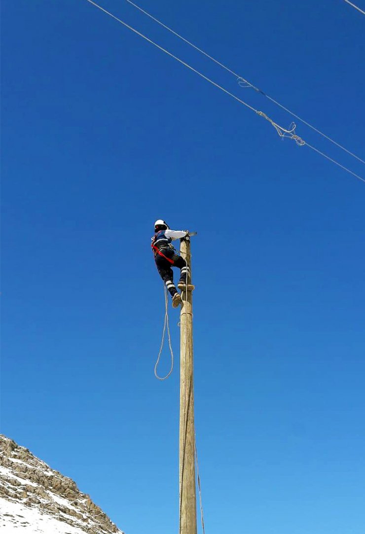 Dicle Elektrik, elektriksiz kalan 8 aileye katır sırtında ekip gönderdi