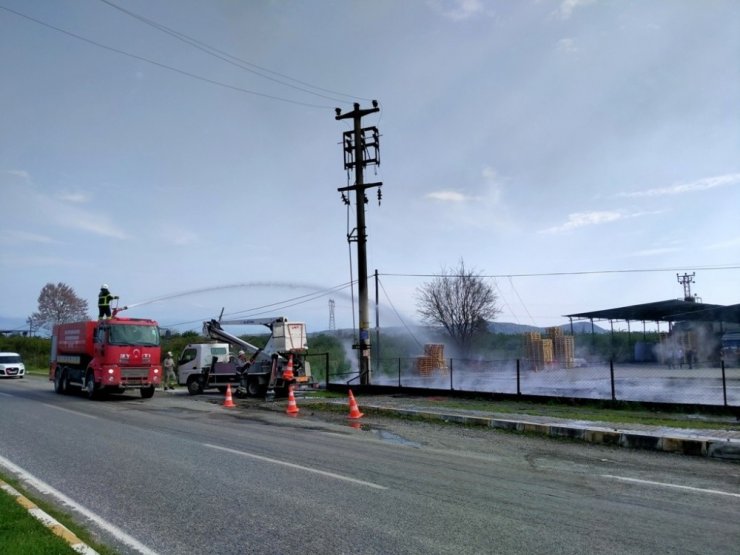Narenciye paketleme tesisinde yangın