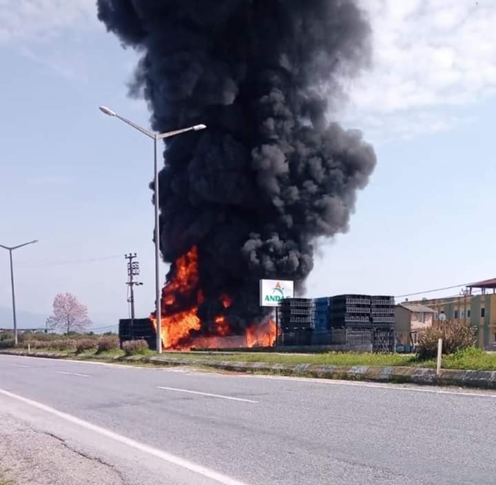 Narenciye paketleme tesisinde yangın