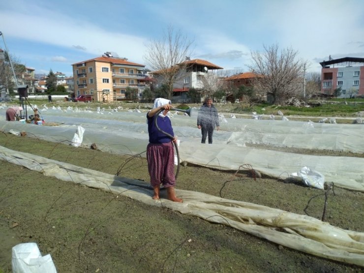 Tütüncülerin telaşı başladı