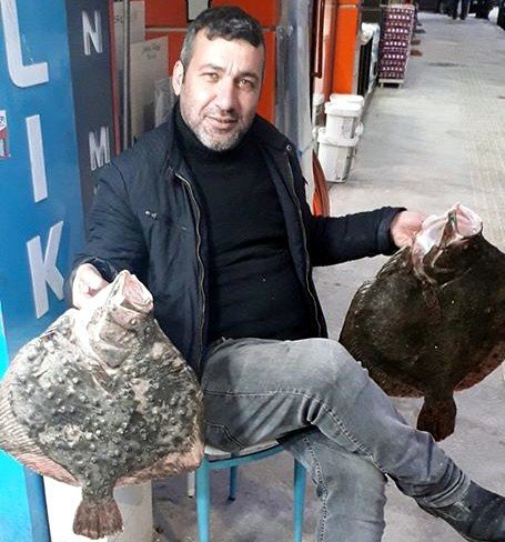 Kalkan balığının kilosu 230 TL