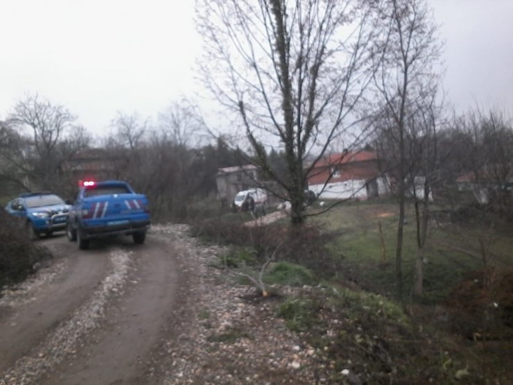 Geri geri gelirken şarampole uçtular: 2 yaralı