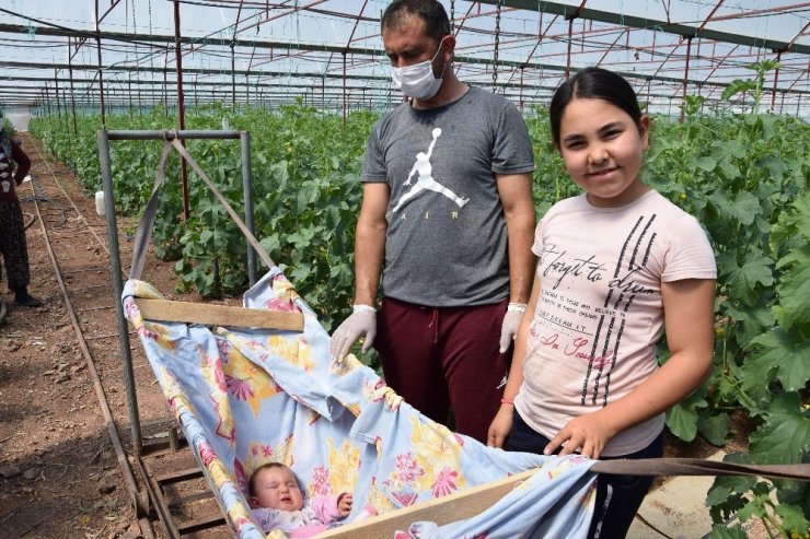 Herkes eve kapandı onların iş yükü arttı, bebekleriyle seralara taşındılar