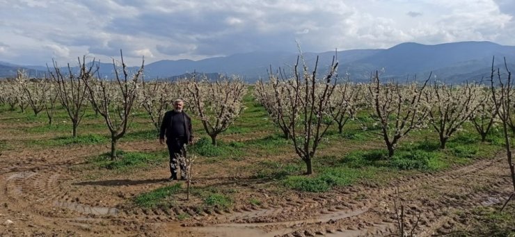 Üreticilerin gözü don ve soğuk tehlikesinde