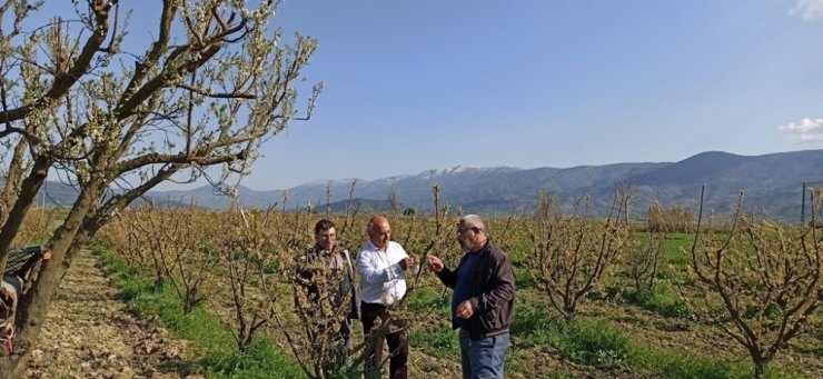 Üreticilerin gözü don ve soğuk tehlikesinde