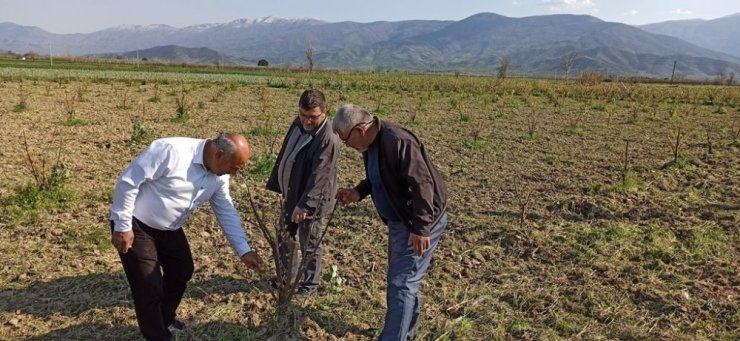 Üreticilerin gözü don ve soğuk tehlikesinde