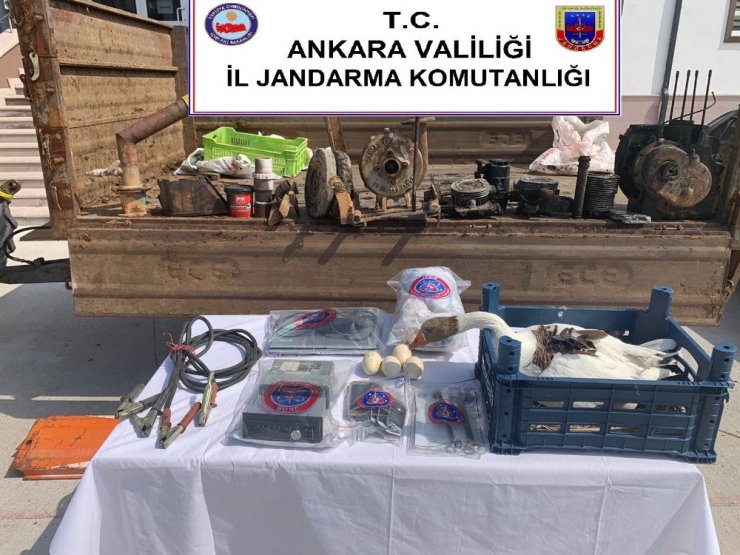 Köylünün kazını yumurtasını bile çalmışlar