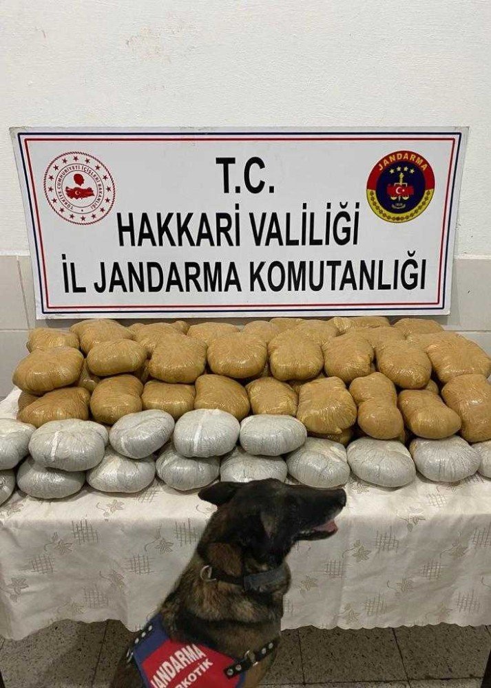 Yüksekova’da yüklü miktarda uyuşturucu madde ve tıbbi ilaç ele geçirildi