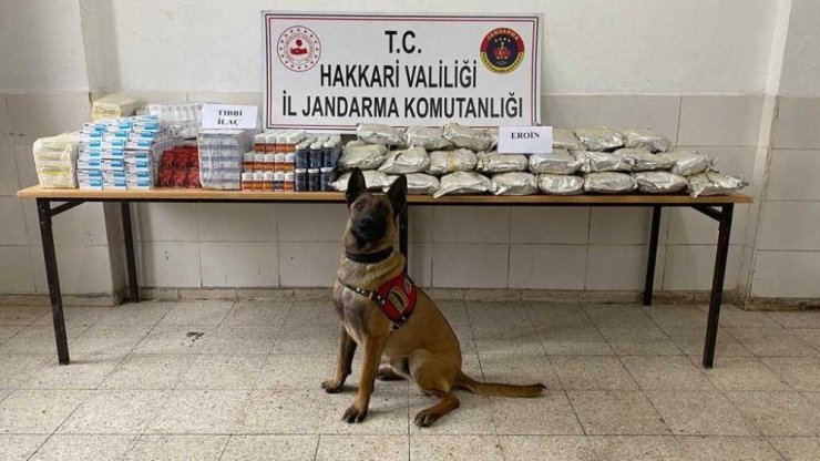 Yüksekova’da yüklü miktarda uyuşturucu madde ve tıbbi ilaç ele geçirildi