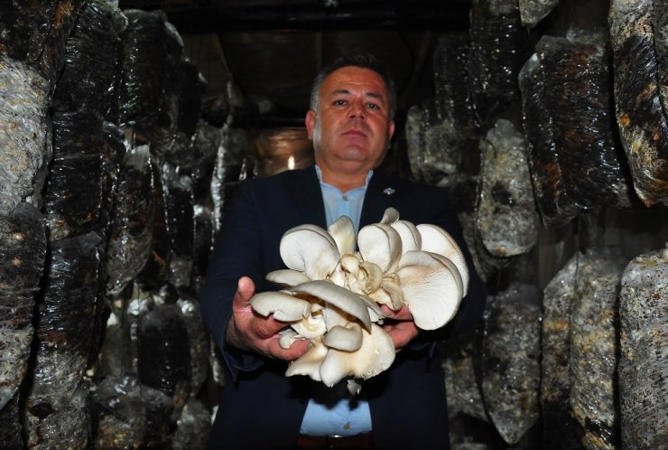 Hobi olarak başladığı mantar üretiminde taleplere yetişemiyor