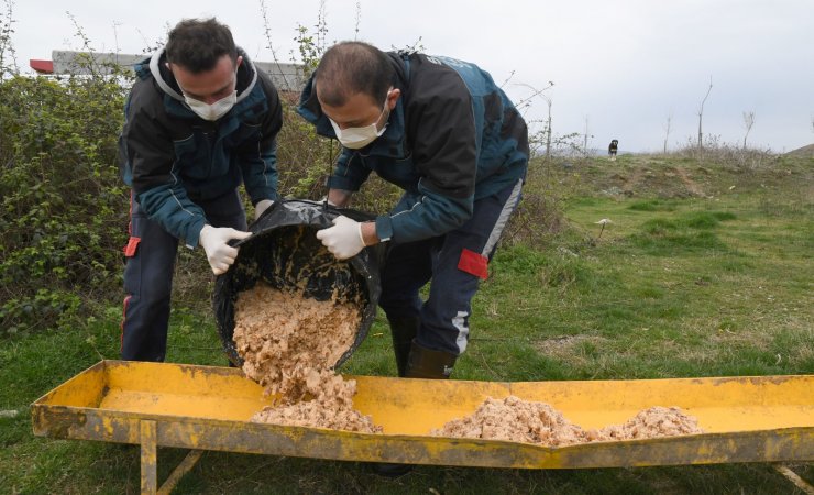 Samsun'da sokak hayvanlarına mama desteği