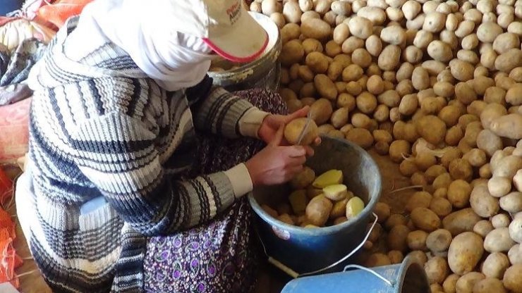 “Üretim durursa hayat durur” diyerek patates ekimini sürdürüyorlar