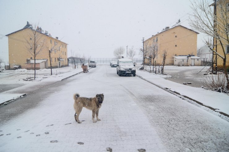 Ovacık kar yağışıyla beyaza büründü