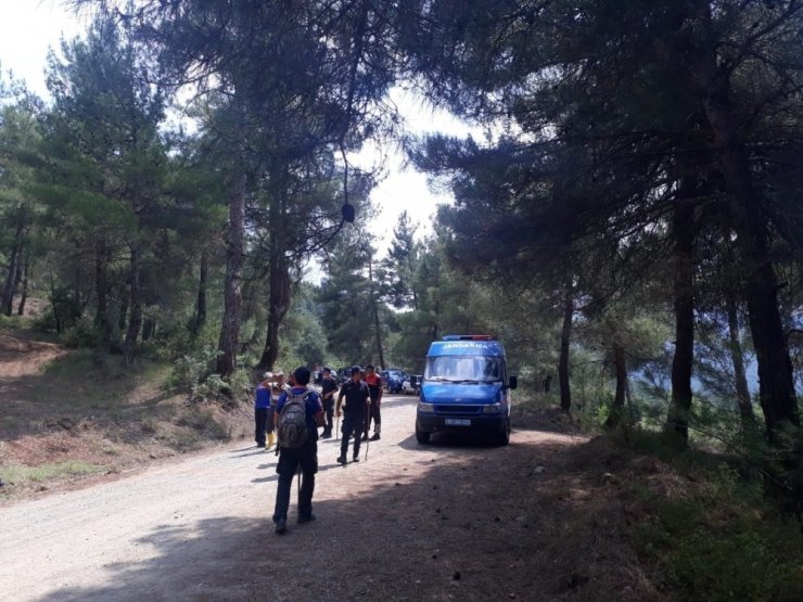 Jandarma ekipleri 8 ay sonra yaşlı kadının cesedini buldu