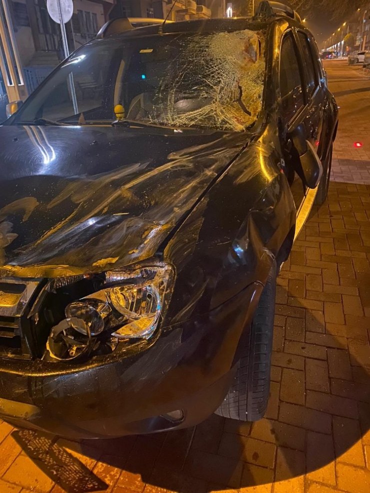 Başıboş atlar otomobilin üzerine çıktı, sürücü neye uğradığını şaşırdı