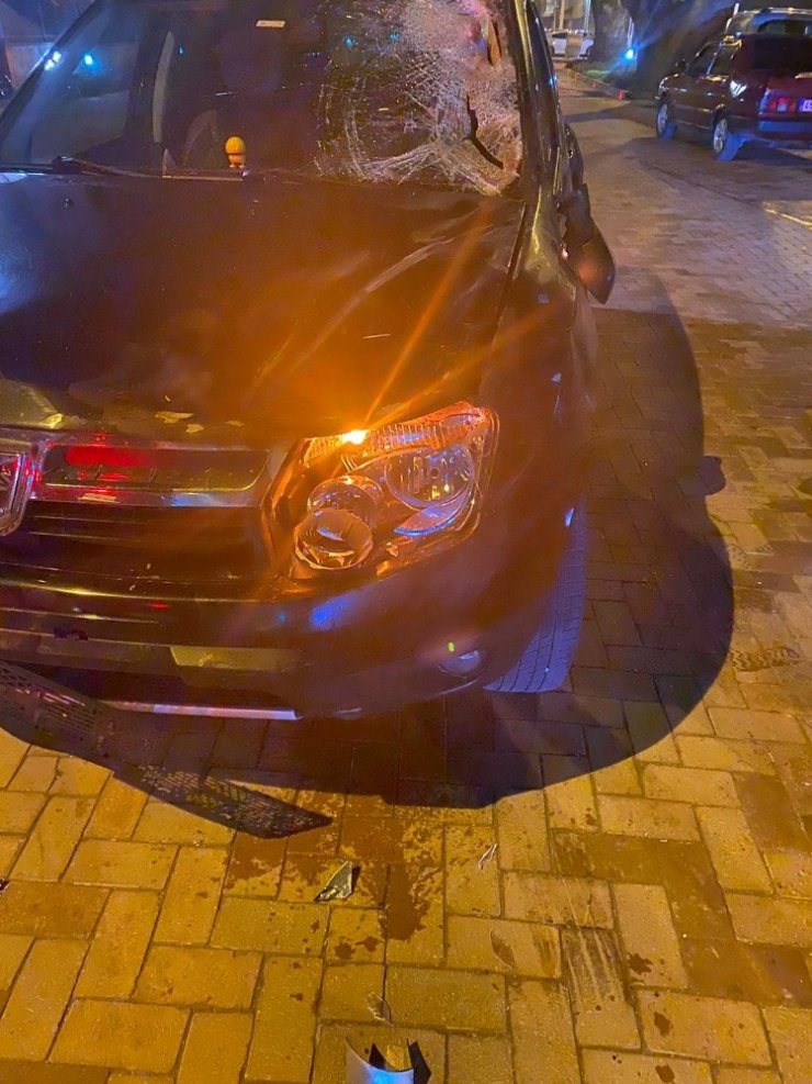 Başıboş atlar otomobilin üzerine çıktı, sürücü neye uğradığını şaşırdı
