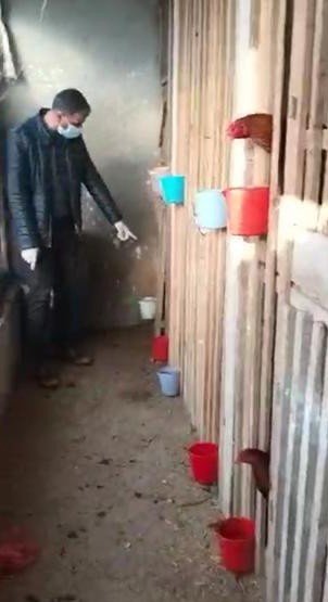Jandarma ekipleri horoz dövüşçülerine baskını düzenledi
