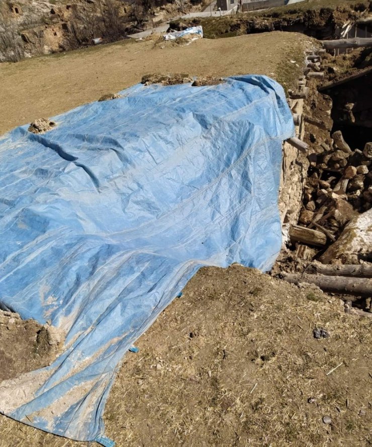 Siirt’te aşırı yağışlardan dolayı bir ahır çöktü, çok sayıda hayvan telef oldu