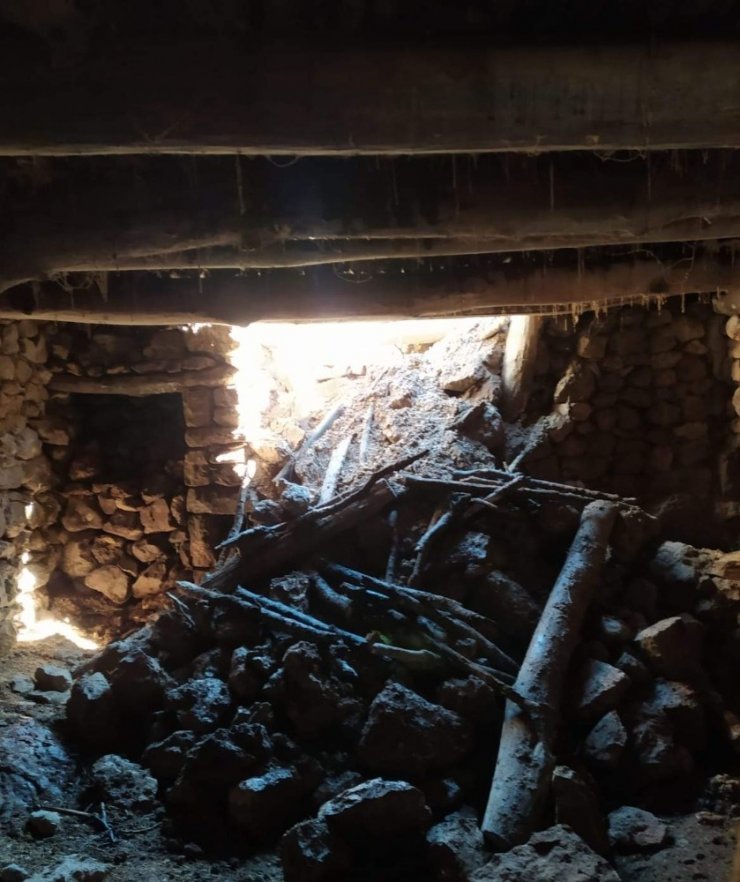 Siirt’te aşırı yağışlardan dolayı bir ahır çöktü, çok sayıda hayvan telef oldu