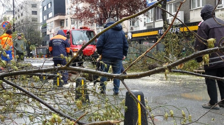 Mecidiyeköy’de fırtınanın etkisiyle devrilen ağaç yolu trafiğe kapattı