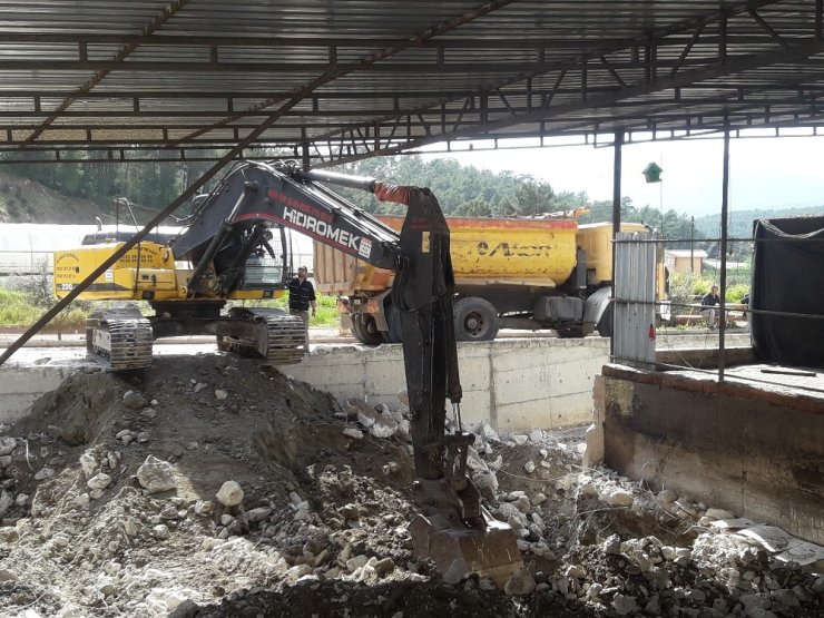 Kumluca zeytinyağı fabrikasının kapasitesi arttırılıyor